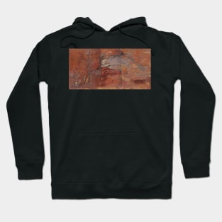 Study of Rocks, Petra by Frederic Edwin Church Hoodie